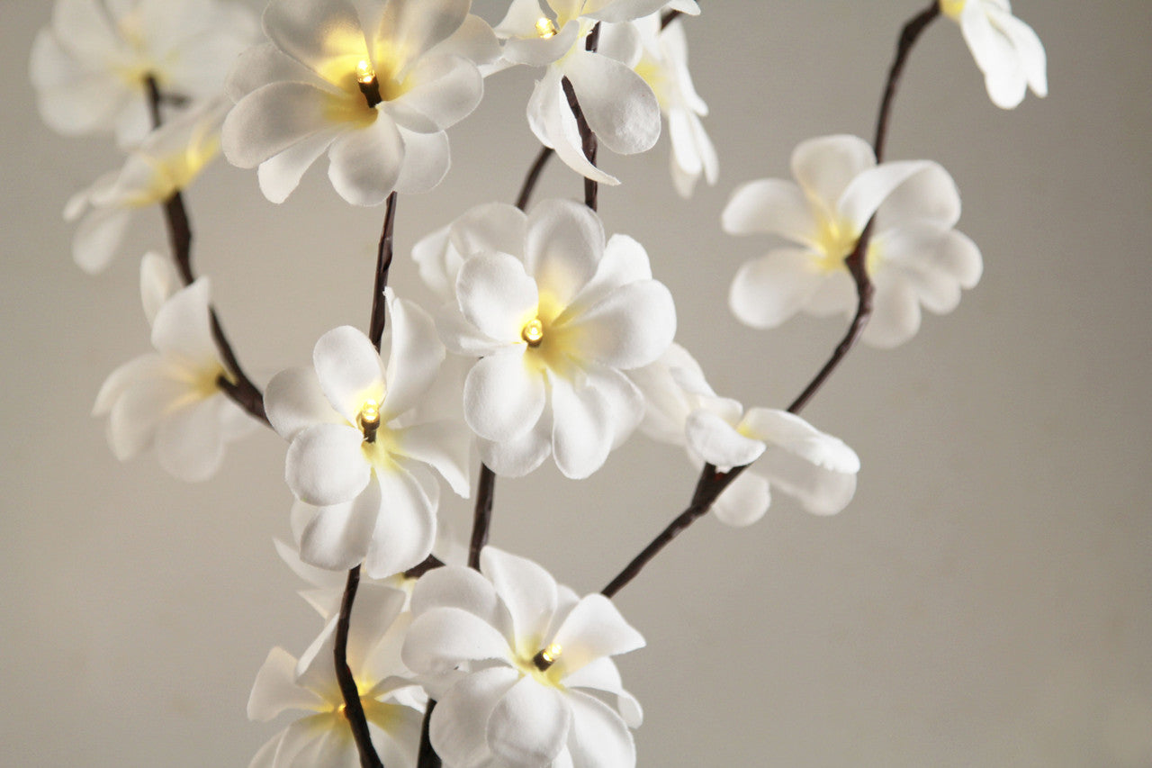 50cm high LED White Frangipani Tree Branch Fairy Light with 20 flowers, perfect for indoor and outdoor decoration.